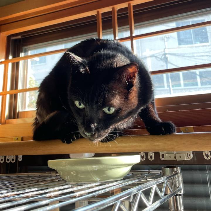 8b5ed624 a631 4d0a 83bf 82adde8ed17f 1606353821468