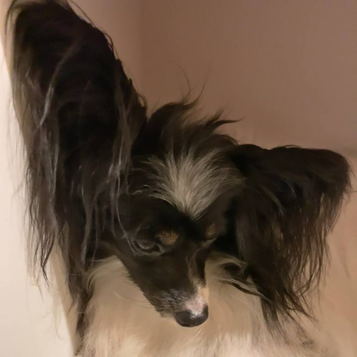 8b5ee3a2 f0b5 41af ae8e 1707f70380ff 1564578625973