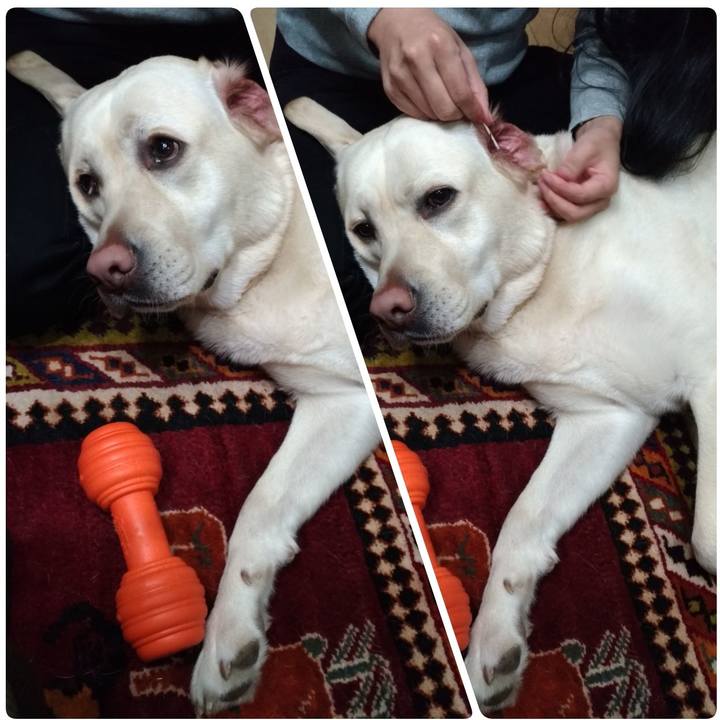 8b5f14f2 ecb4 4c97 9577 e6324b318214 1554206377375