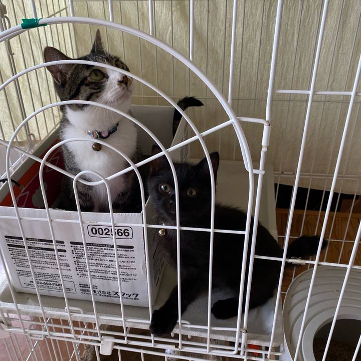 8b5f370c 8ede 43e5 b701 c7e6febcac2c 1719115446620