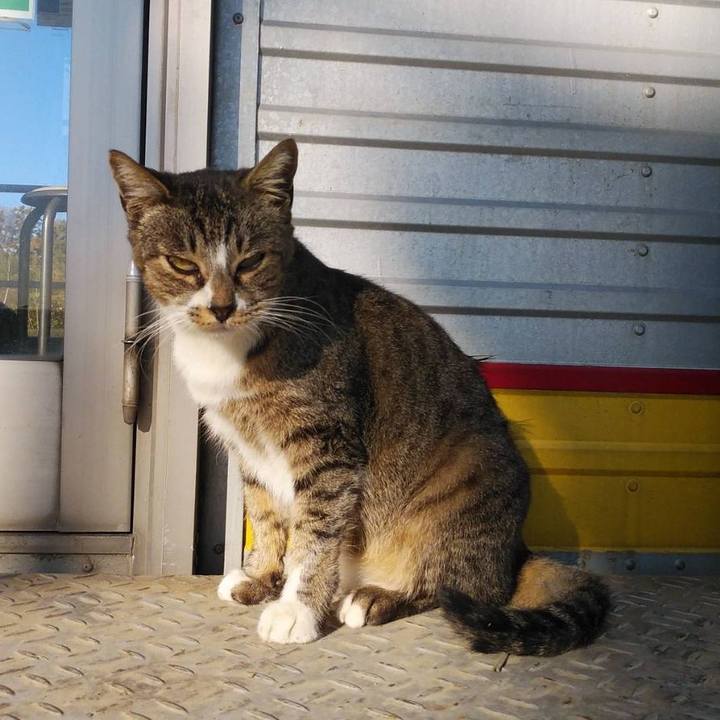 8b5f5cd5 42db 4e5c be0c b9e60daa01ed 1574985626623