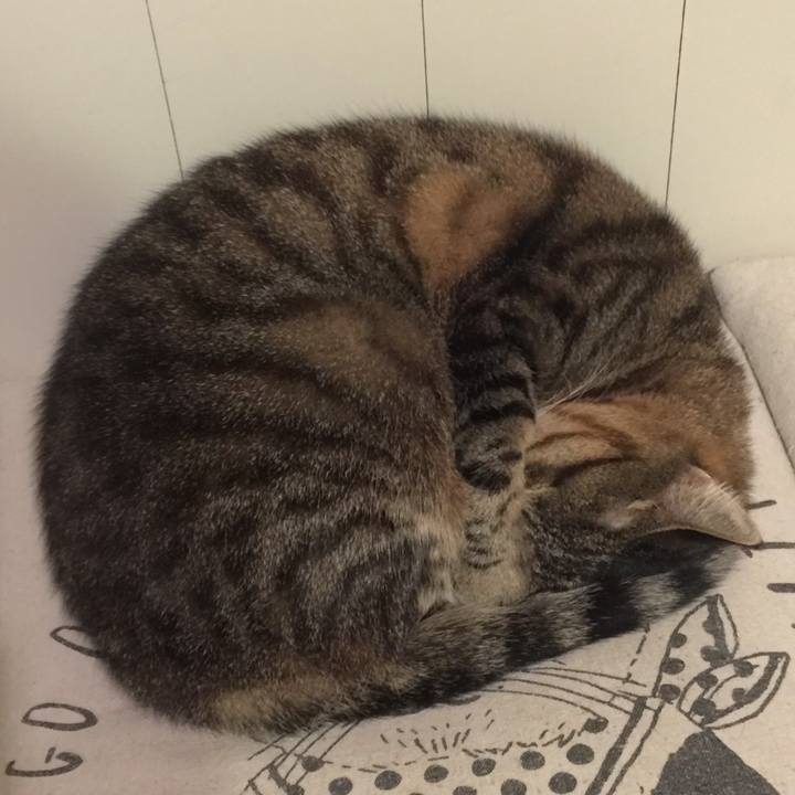 8b5f6c8e 27ea 4011 af21 9a34c80965e7 1574249830835