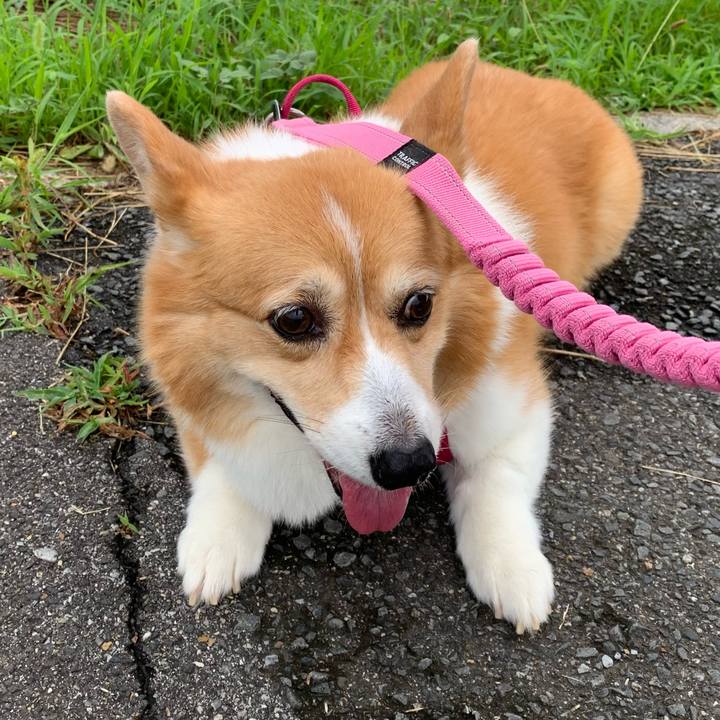 8b5f82f0 1d97 4cc2 ae28 d3063b91506f 1720665262762