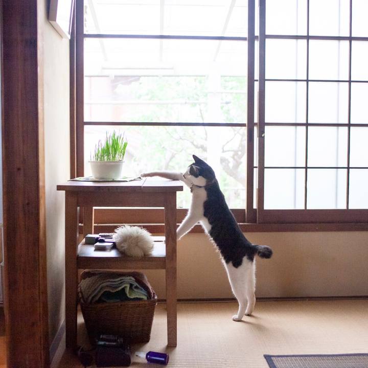 8b5f93c0 f777 411e b86d af660492f8f4 1593049767204