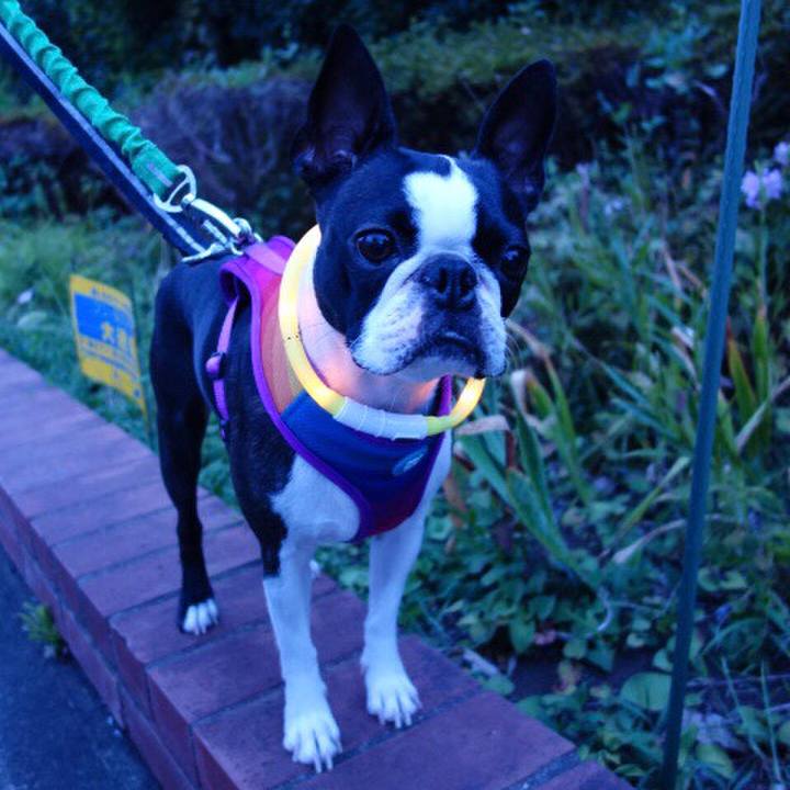 8b5fa72e 2def 45a3 ac08 9b1b5f2519be 1598875986565