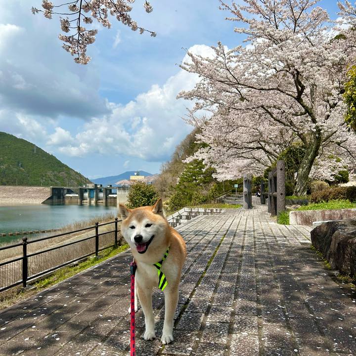 8b5faaf9 d8d0 499a a318 e9d74bcaf139 1744716914152