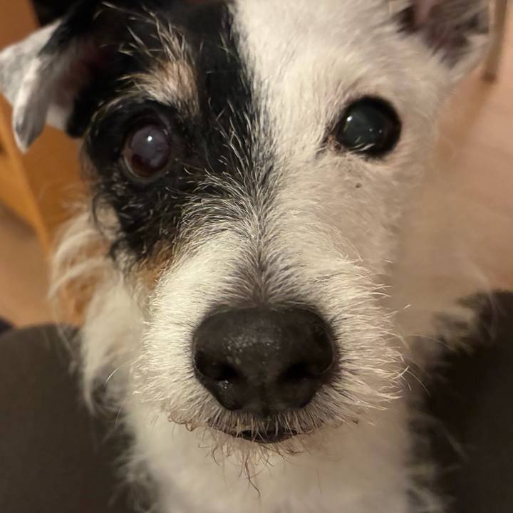 8b5ff2fa d9ad 4ea0 a53a 8261a99334af 1768306842557