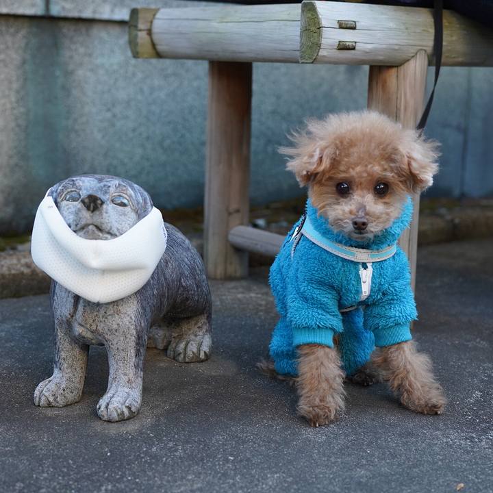 8b5ff7cd a102 48dc a477 c51b21e0643b 1673700359296