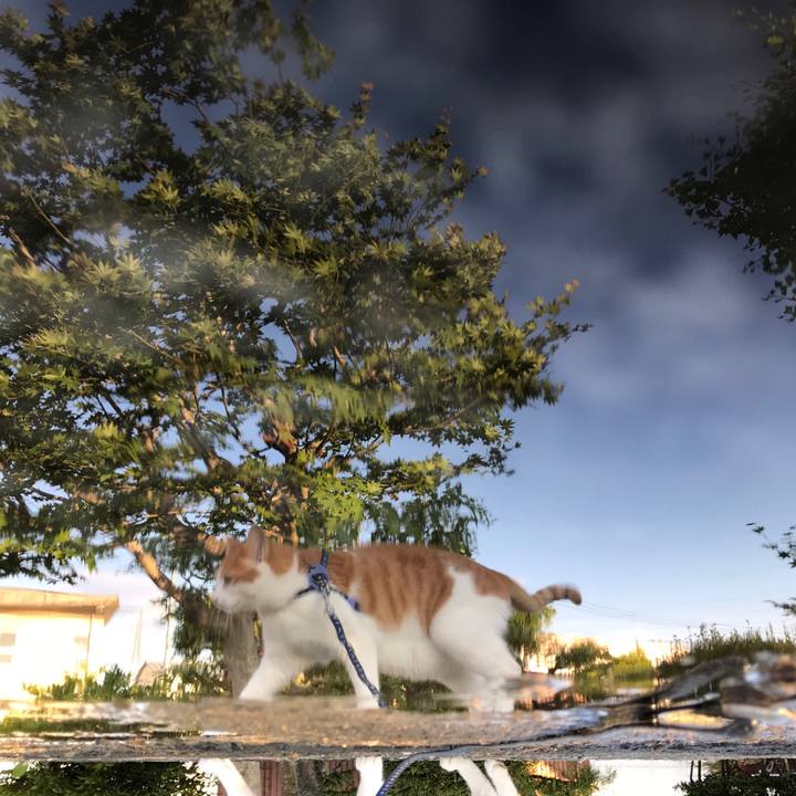 8b60283d 6f55 4db9 801e f7d1e1630411 1527844281161