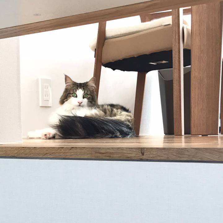 8b6056b1 d0d3 4442 bdfe 160a8d20d9d5 1533268846260