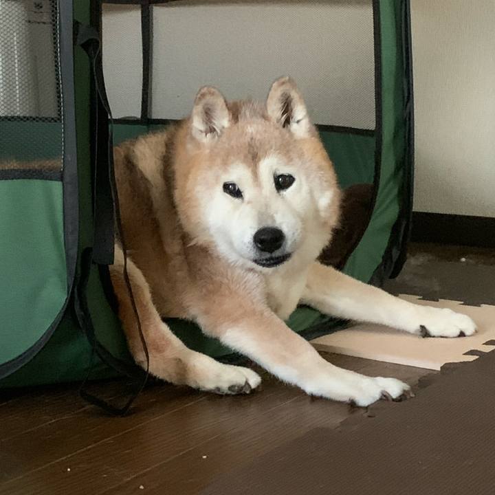 8b607aef be4b 419c 9ae7 c72698691fd7 1691018607596