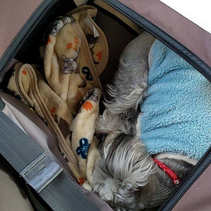 8b60aa85 ba7b 407b 8467 287a510eb2d5 1736068656776