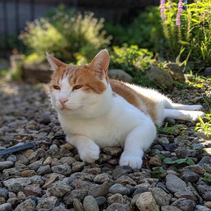 8b60cbdd d797 4202 8fb4 5d5098a47e28 1564718047103