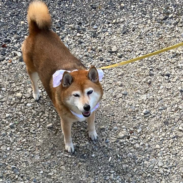 8b610a21 183e 444a 9fd8 92edd32a47ea 1659169078778