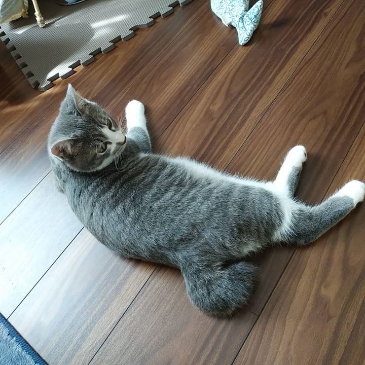 8b614d59 c5a4 42b9 8676 12517396d2a5 1568943361670