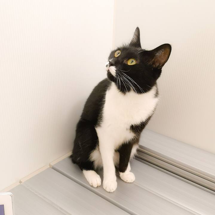 8b615a65 0063 469d 8ef2 a905254f18d4 1545673117445