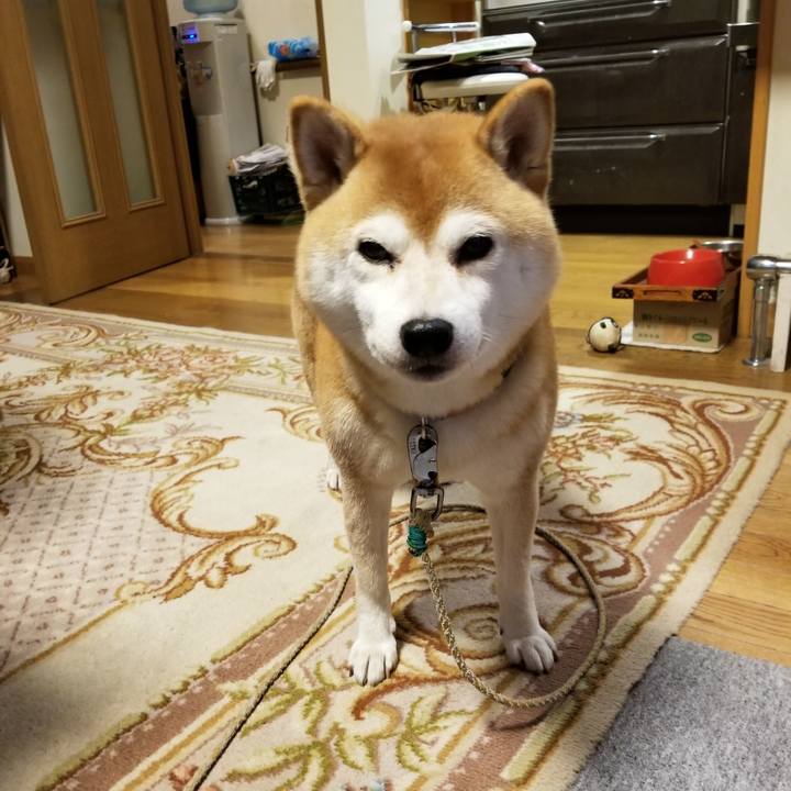 8b6195c8 d313 44ce af3f a0c2771f7a68 1571904047957