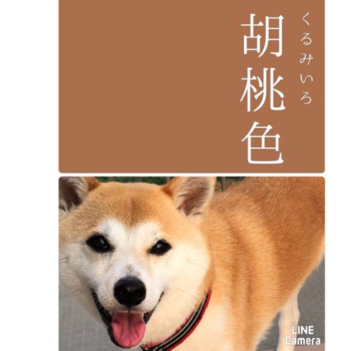 8b61aa92 5a20 41ea b152 a4687074b622 1530575748725