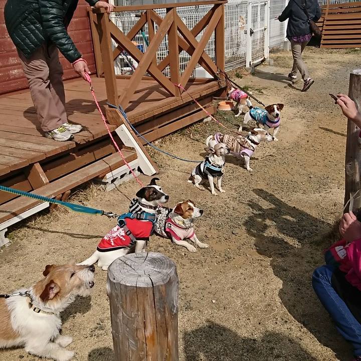 8b61bab5 3ad0 4b46 a29f dbbd58dd5309 1519530575066