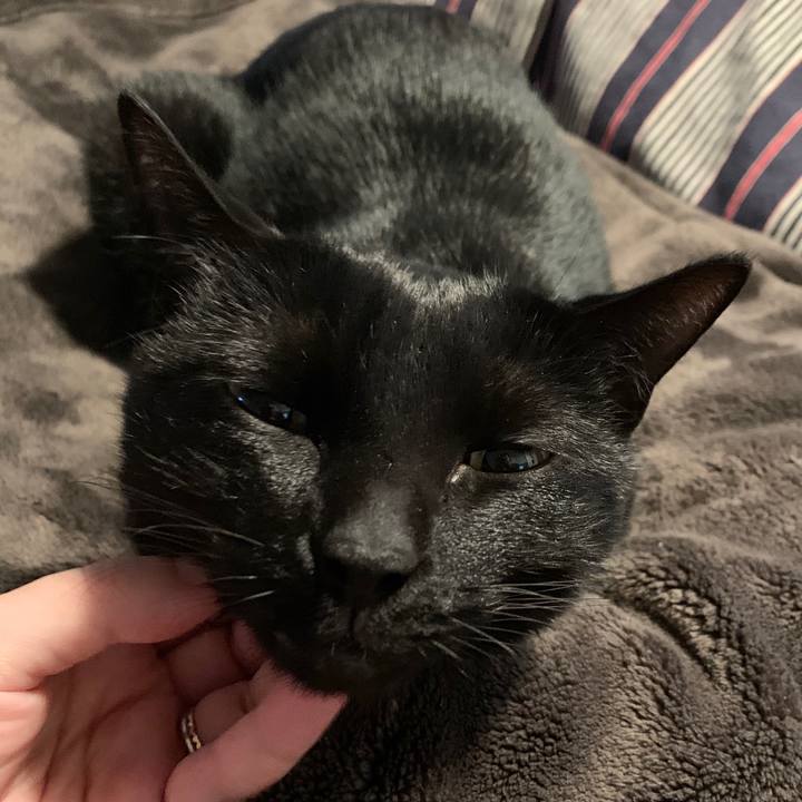 8b61d29e 4424 4601 9c26 721fb9bf5912 1573772355542