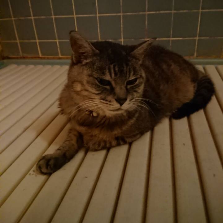 8b61d543 8597 4752 b663 7d0e22945191 1569151013688