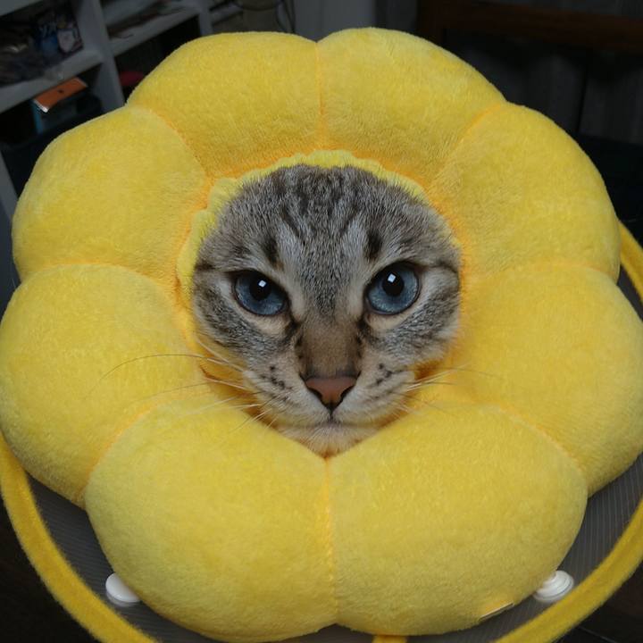 8b61e486 f2e5 474f bc03 55b646111246 1713954322247