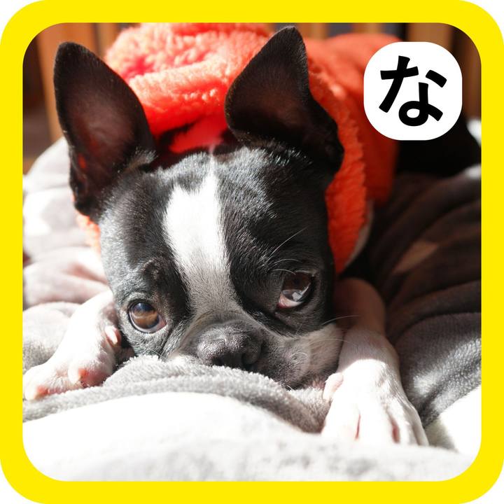 8b61f94c a329 439f 9497 84f87831ab69 1514804922508