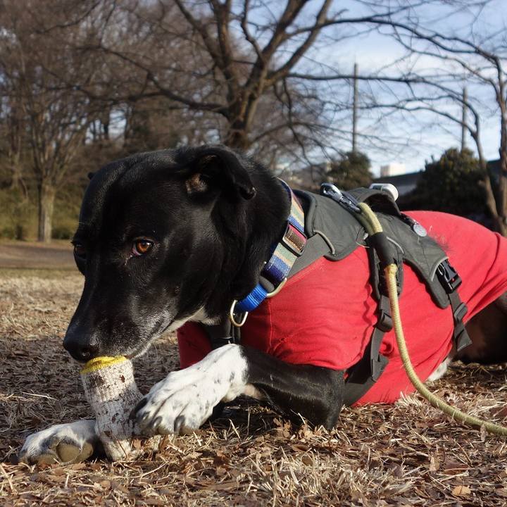 8b624cf0 335b 473c 8388 c22ac6e24371 1642986011514