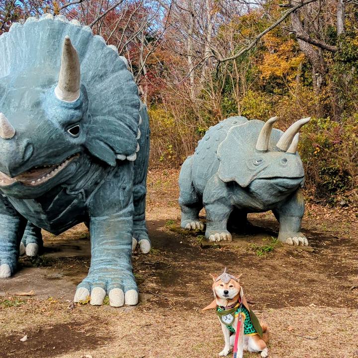 8b625900 52a3 45a2 82f6 cdebfaf7ab85 1766120112147