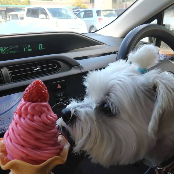 8b625cd0 dbf2 438a a3d4 2b9e86a9b992 1693309291720