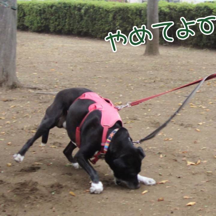 8b62ba71 c7a8 4660 8c8b 7fb4c4045ab7 1699145120761