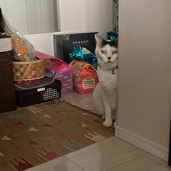 8b62e01e 8436 4594 be1e 94c128ffa233 1754279040368