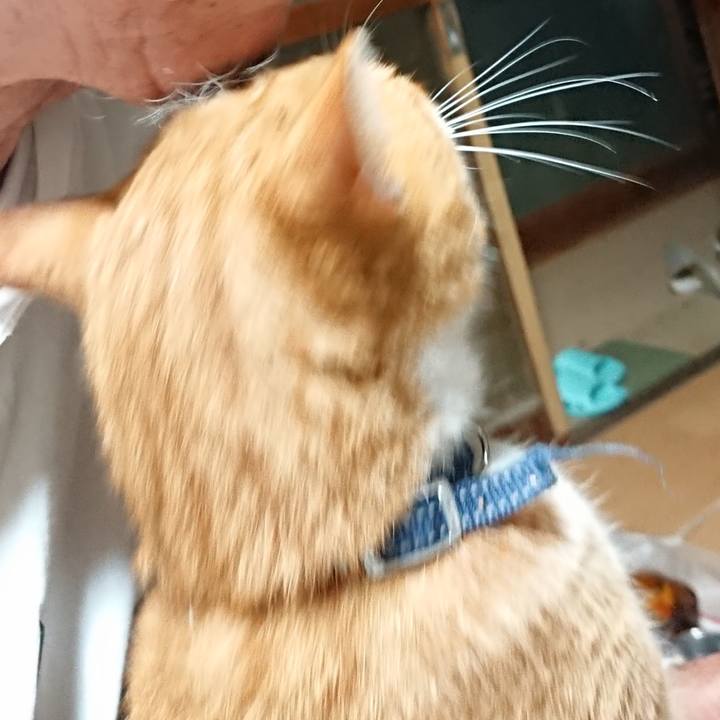 8b632355 2be8 4667 8a1b 73d3a50aed89 1600461304170