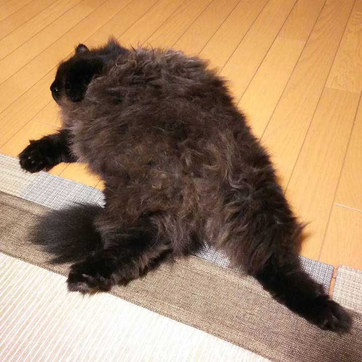 8b63e75c bfbe 43f5 b473 048ed12f22fe 1566392752057