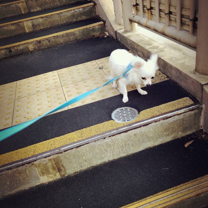 8b63edb9 7f85 488c be8e b534d5d4409c 1523208320100