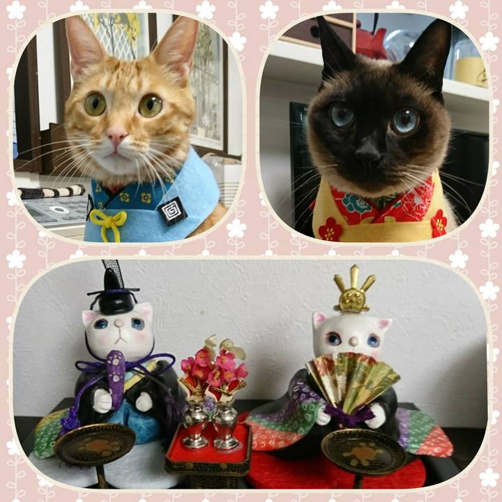 8b64365b d711 4d55 baf7 854943aa14c0 1519998485010