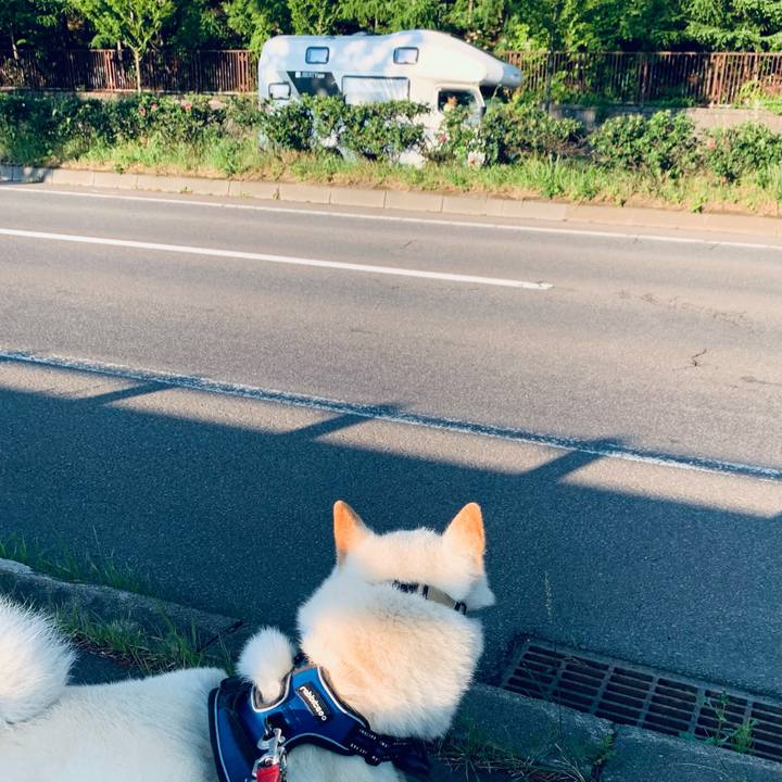 8b645953 31f4 4f77 ae8a 6a948b95b215 1624655872077