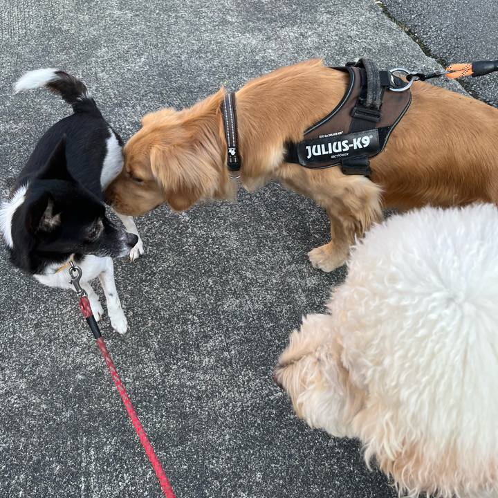 8b6460d2 c558 400d 9c96 370b99e94887 1707832981542