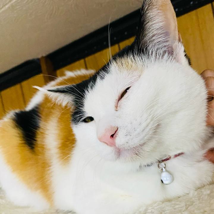 8b6471c7 c551 47af 8ce0 ad95d5471c64 1670418579233