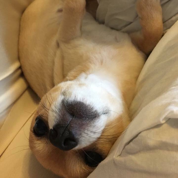 8b64728a 169d 446c 8a6e 10d285bf1c23 1533261627656