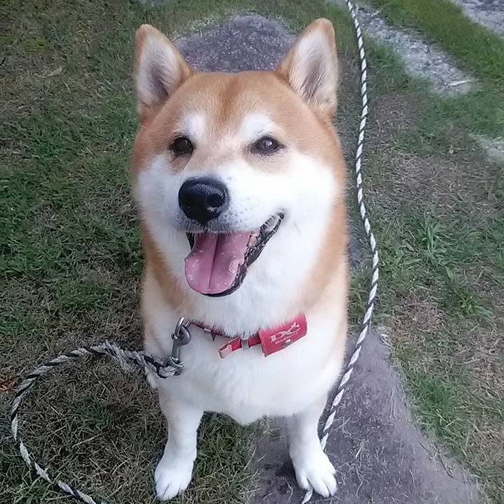 8b64926a 6e8d 4c0f 87b9 8515634c8062 1600686514818