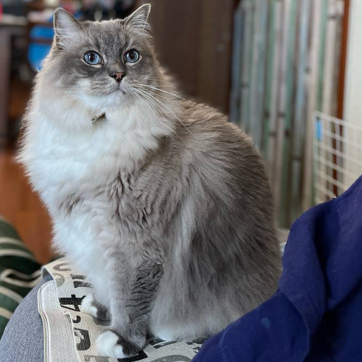 8b64ab1a 711a 462b bfd5 822ebb48bb64 1658646865386