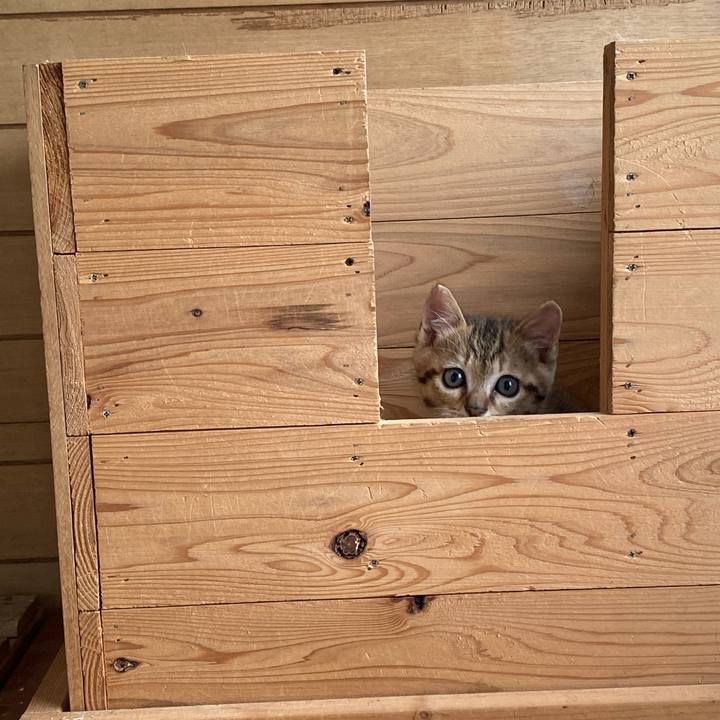 8b64ac45 df99 4ad8 93e6 ecdddd996109 1622172707605