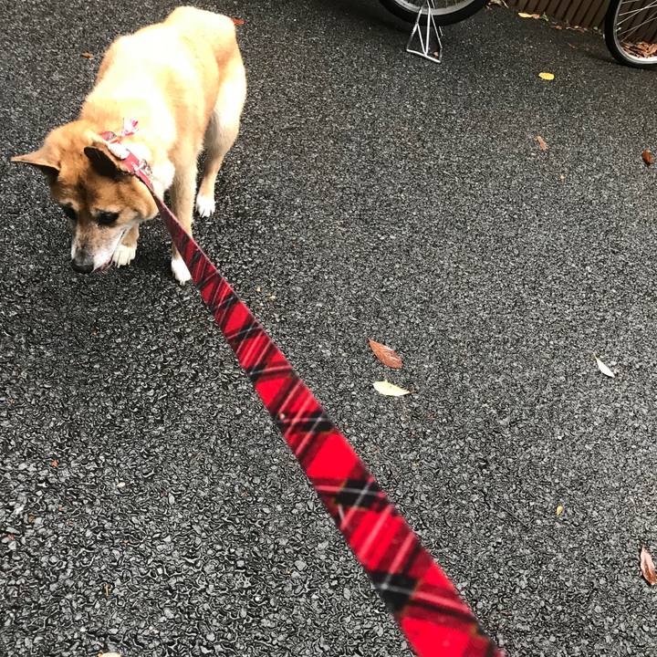 8b64d367 3246 4f4b bbc2 956f148156ff 1530832896464