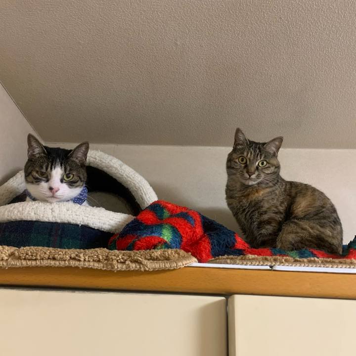 8b64e489 3efa 44a3 9da6 ca128a01ab1d 1648626473156