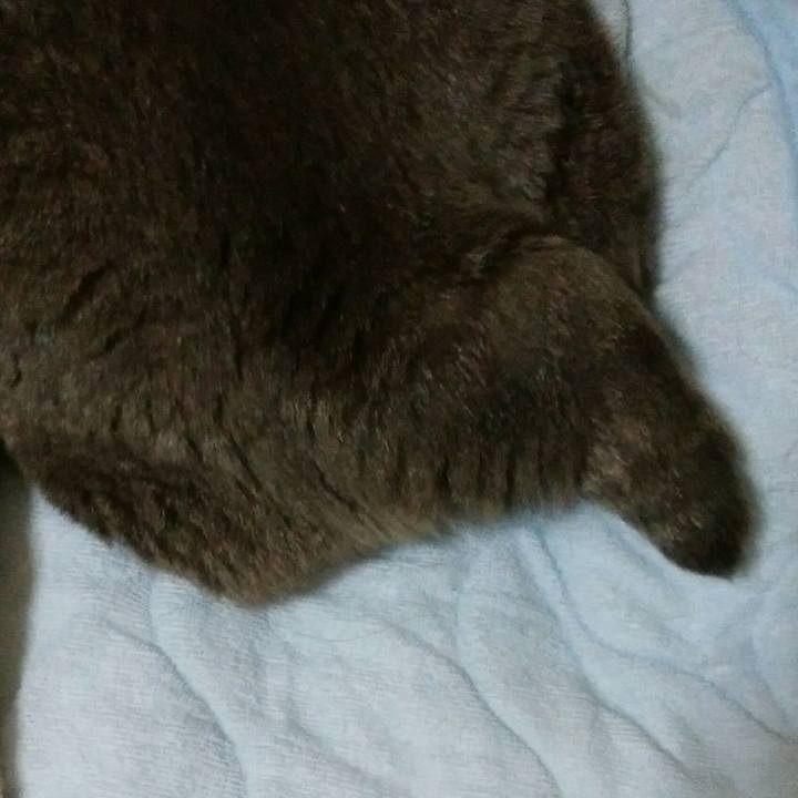 8b64ec54 30c1 46ba 9462 aeb47b1fb7fc 1596744197287