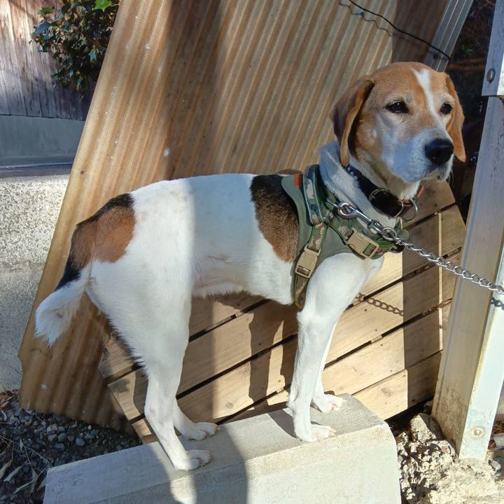 8b650754 fa86 416e 89b6 412e7bfe384c 1736582935858