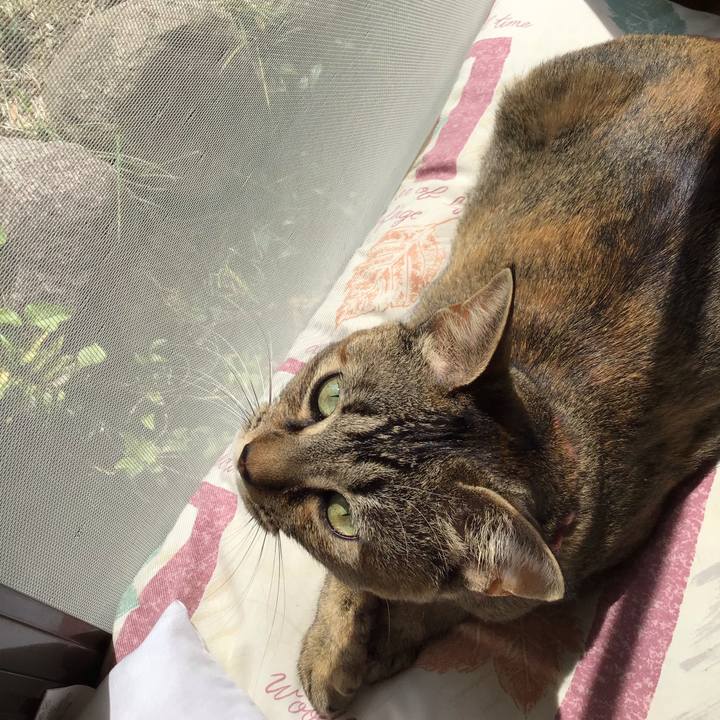 8b6513bc 4b2e 4209 a2fc 6ac431763170 1588396446367