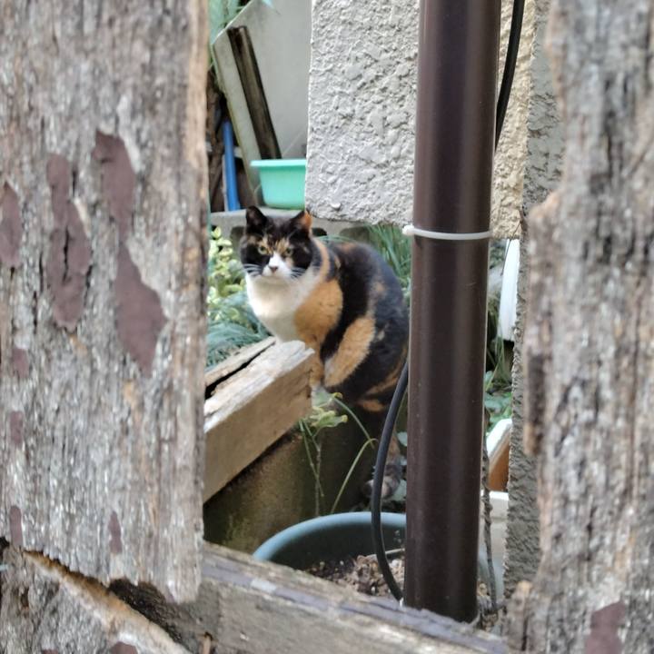 8b6515cb aea0 4825 925e c6b503c4534a 1710285234785