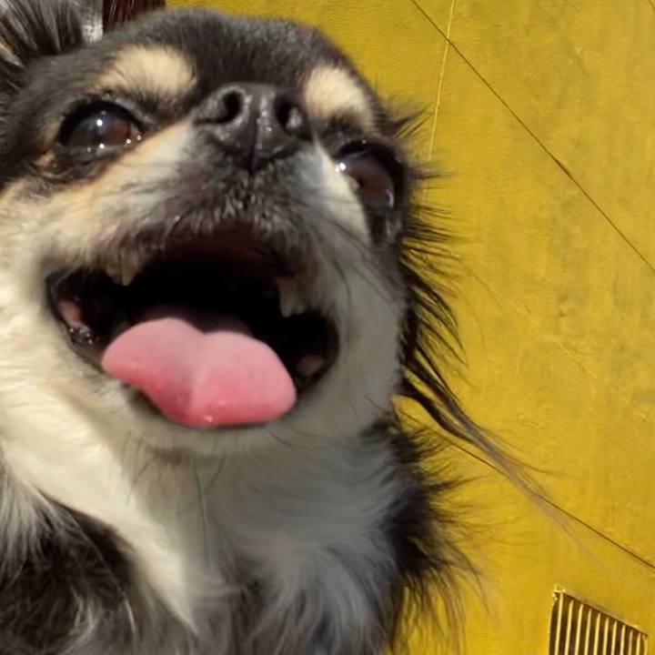 8b652ab7 a2ba 456e 95b0 e91cddcf3920 1624237735631